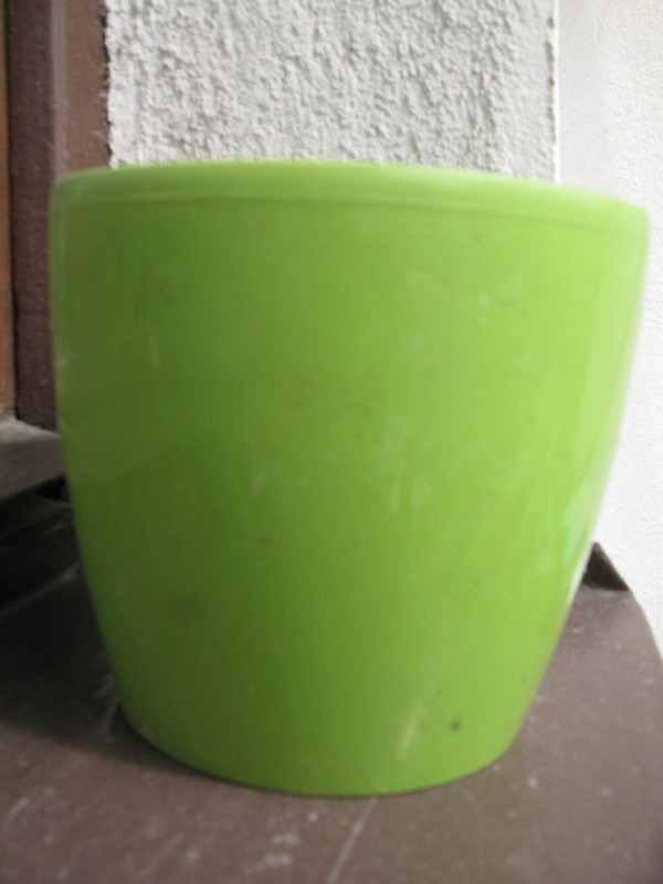 Zielona osłonka plastikowa - Osłonki - Kodrąb