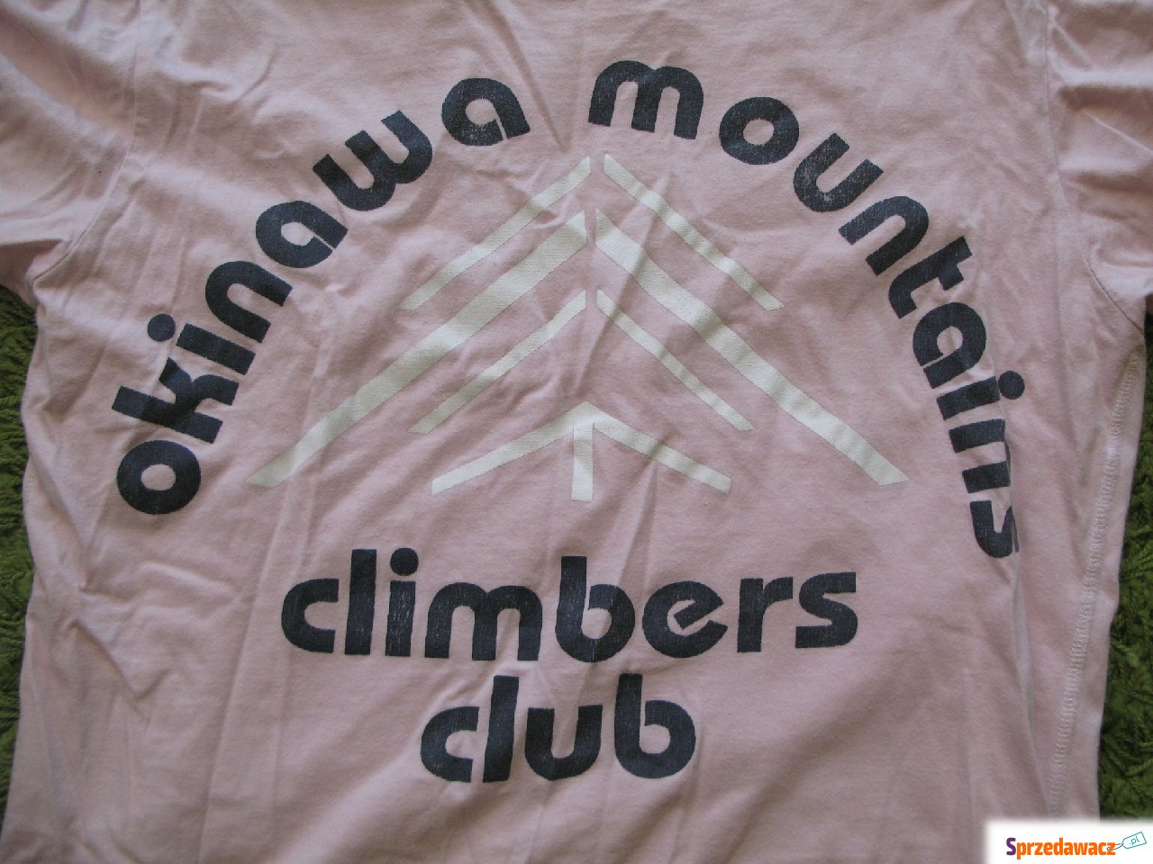 T-shirt Terranova