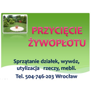 Sprzątanie ogrodu, ogrodnik Wrocław, cena tel... - Pozostałe usługi - Wrocław - zdjęcie 5