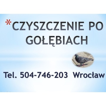 Sprzątanie balkonu po gołębiach, cena tel 504... - Pozostałe usługi - Wrocław - zdjęcie 4