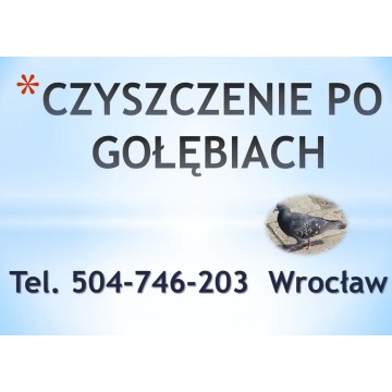 Sprzątanie balkonu po gołębiach, cena tel 504... - Pozostałe usługi - Wrocław - zdjęcie 2