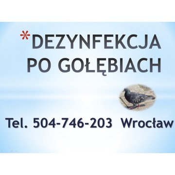 Sprzątanie balkonu po gołębiach, cena tel 504... - Pozostałe usługi - Wrocław - zdjęcie 5