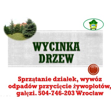 Wycinka drzewa, tel 504-746-203, wycinanie drzew, gałęzi, cena, Wrocław,