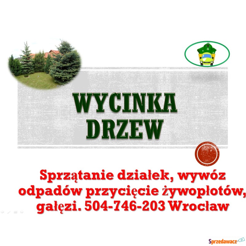 Wycinka drzewa, tel 504-746-203, wycinanie drzew,... - Pozostałe usługi - Wrocław
