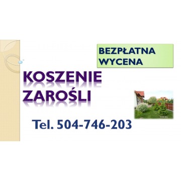 Przygotowanie terenu działki pod budowę, inwe... - Usługi remontowo-budowlane - Wrocław - zdjęcie 2