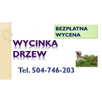 Przygotowanie terenu działki pod budowę, inwe... - Usługi remontowo-budowlane - Wrocław - zdjęcie 3