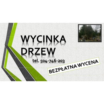 Wycięcie drzewa na cmentarzu Wrocław, tel. 504-746-203, cena