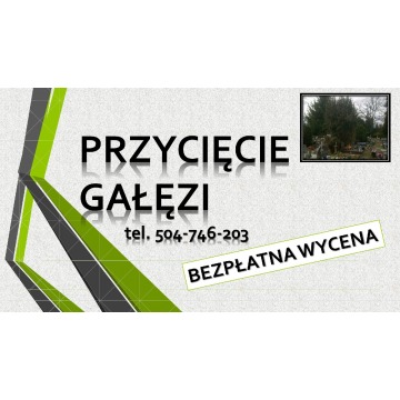 Wycięcie drzewa na cmentarzu Wrocław, tel. 50... - Pozostałe usługi - Wrocław - zdjęcie 2