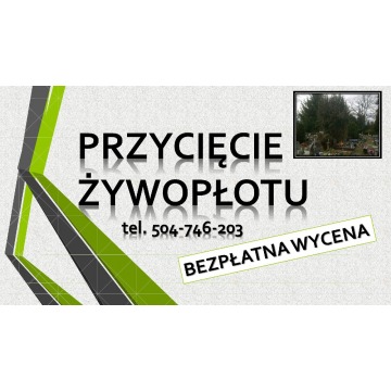 Wycięcie drzewa na cmentarzu Wrocław, tel. 50... - Pozostałe usługi - Wrocław - zdjęcie 3