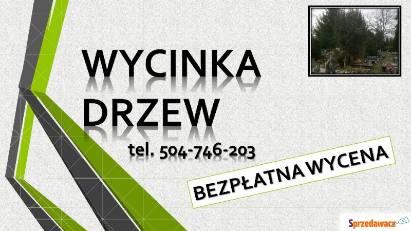 Wycięcie drzewa na cmentarzu Wrocław, tel. 50... - Pozostałe usługi - Wrocław