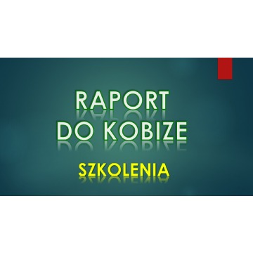 Raport do Kobize, szkolenie, cena, Wrocław, w... - Pozostałe usługi - Wrocław - zdjęcie 3