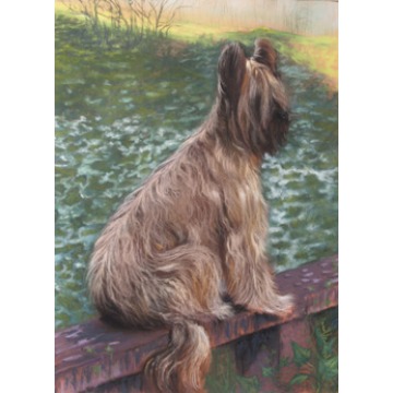 Portret, artysta plastyk, pracownia plastyczna,... - Sztuka i renowacja - Kraków - zdjęcie 3