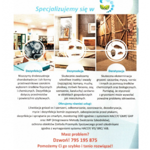Dezynsekcja - pluskwy, mrówki, karaluchy, osy... - Pozostałe usługi - Tychy - zdjęcie 2