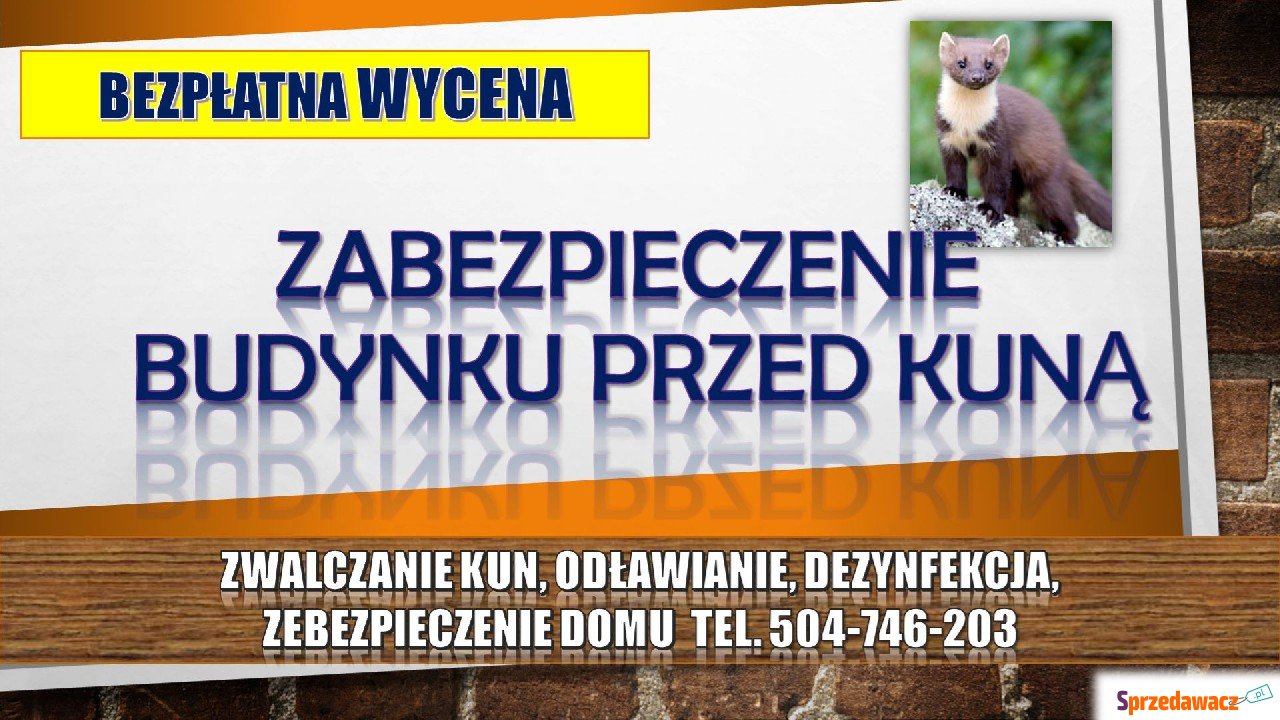 Zabezpieczenie domu przed kuną,...
