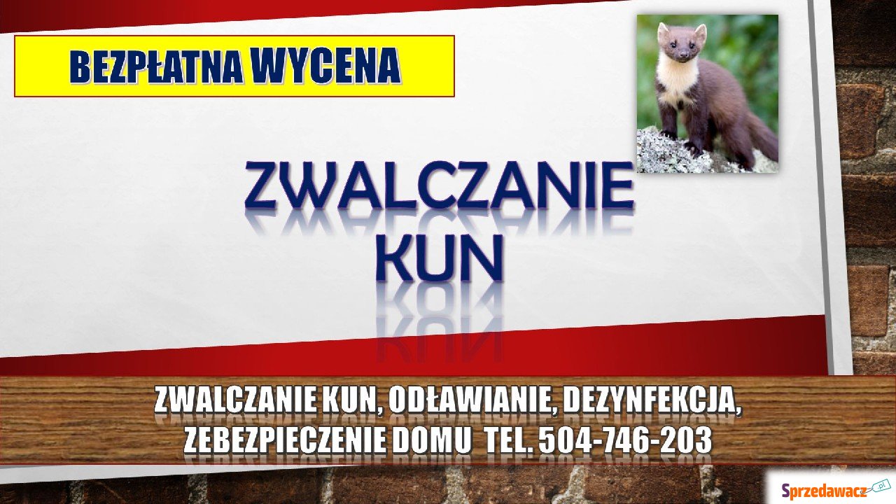 Zwalczanie kun, tel. 504-746-203,...