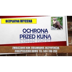 Zabezpieczenie domu przed kuną, tel. 504-746-203,... - Pozostałe usługi - Wrocław - zdjęcie 2