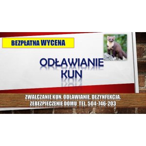 Zabezpieczenie domu przed kuną, tel. 504-746-203,... - Pozostałe usługi - Wrocław - zdjęcie 3
