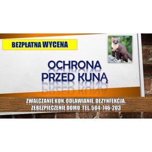 Zabezpieczenie domu przed kuną, tel. 504-746-203,... - Pozostałe usługi - Wrocław - zdjęcie 4