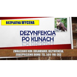 Zabezpieczenie domu przed kuną, tel. 504-746-203,... - Pozostałe usługi - Wrocław - zdjęcie 5