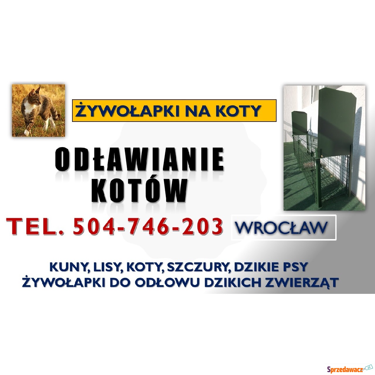 Odławianie dzikich kotów, tel....