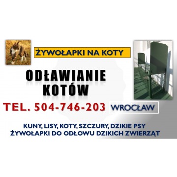 Odławianie dzikich kotów, tel. 504-746-203, Wrocław. Żywołapka na koty, cena.