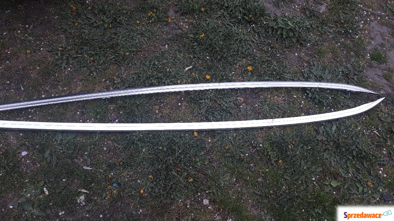 Insignia B relingi kombi
