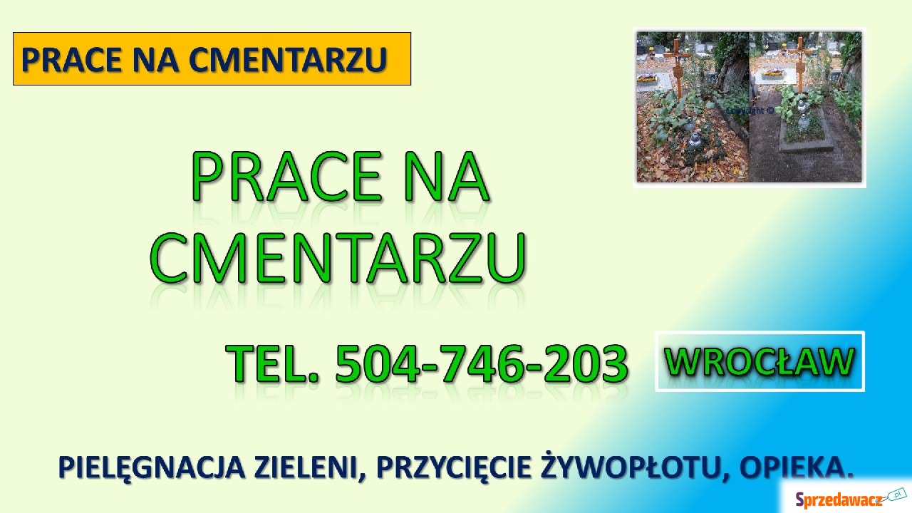 Prace, przycięcie tui na cment...