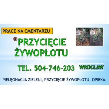 Prace, przycięcie tui na cmentarzu, grabiszyn,... - Pozostałe usługi - Wrocław - zdjęcie 4