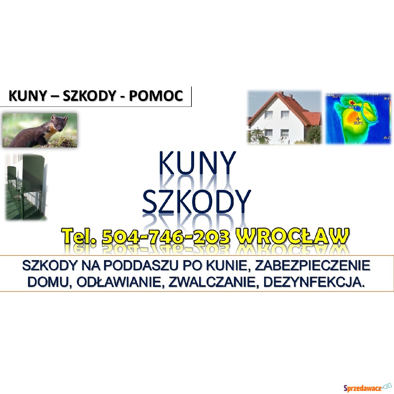 Szkody po kunach, tel. 504-746-203,...