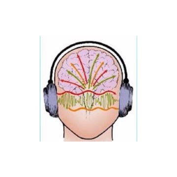 Bioplasm nls Biofeedback - Sprzęt medyczny - Strzegom - zdjęcie 2