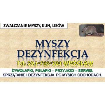 Zwalczanie myszy, Wrocław. tel. 504-746-203. Likwidacja szkodników w domu. Deratyzacja, usługi. Puła