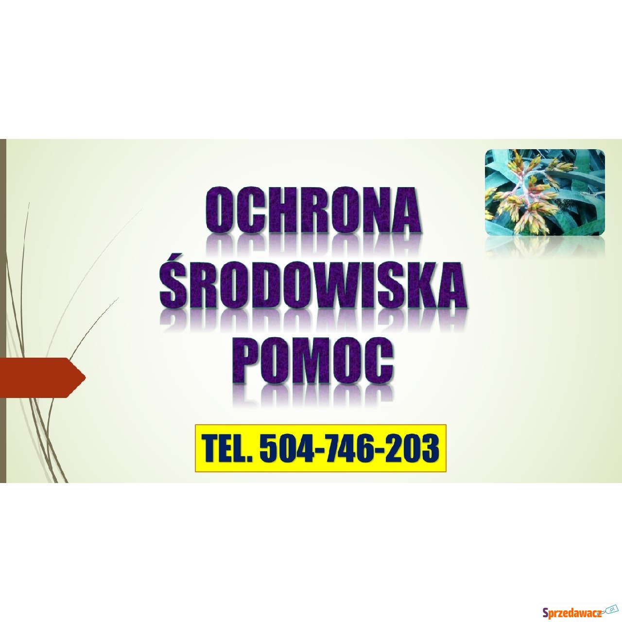 Odwołanie od kary ochrona środ...