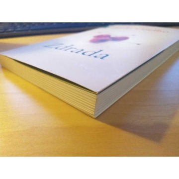 Paulo Coelho Zdrada - Książki - Warszawa - zdjęcie 2
