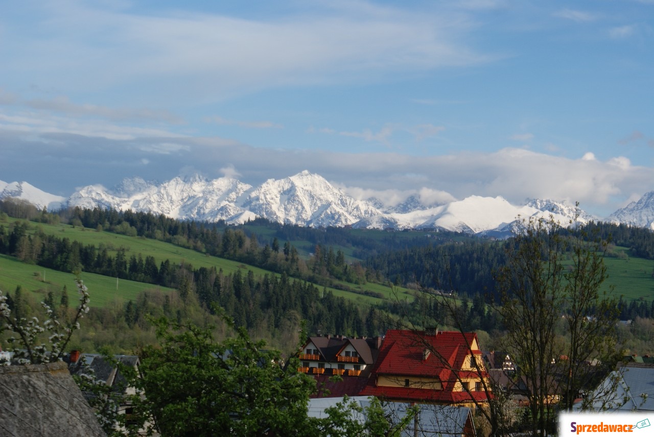 Pokoje z widokiem na Tatry.