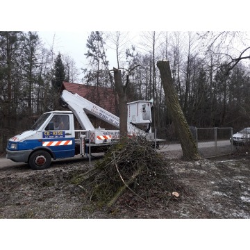 Wycinka, pielegnacja drzew, mielenie i wywoz... - Pozostałe usługi - Lublin - zdjęcie 4