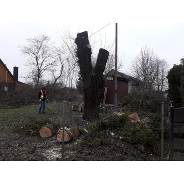 Sprzatanie ogrodow, wycinka i pielegnacja drzew,... - Pozostałe usługi - Lublin - zdjęcie 2