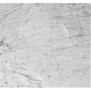Płytki marmurowe Carrara Bianco GIOIA 45,7x45,7x1 cm polerowane