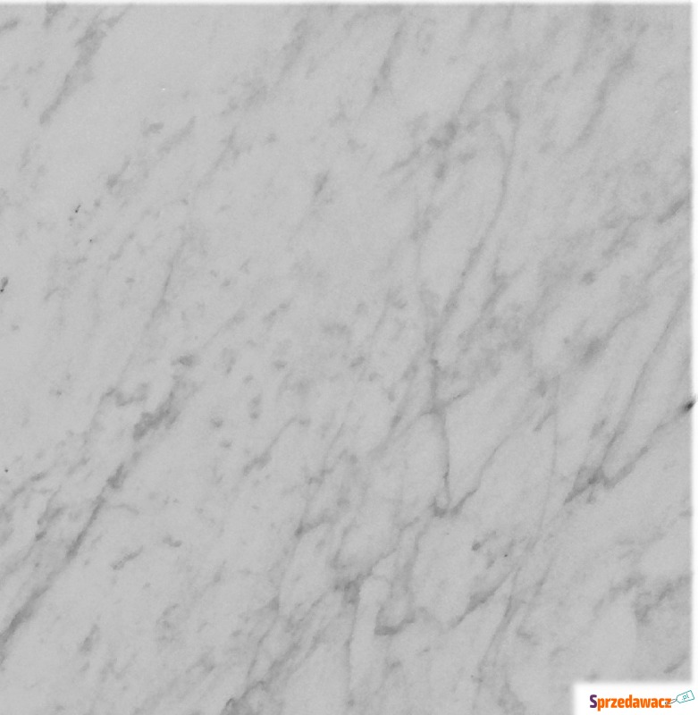 Płytki marmurowe Carrara Bianco "C"... - Płytki podłogowe - Przemyśl