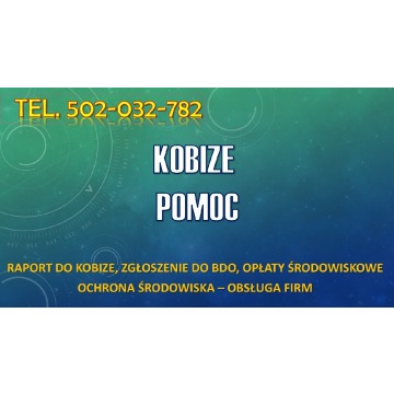 Odzyskanie dostępu do Kobize, tel. 504-746-203.... - Usługi prawne - Wrocław - zdjęcie 3
