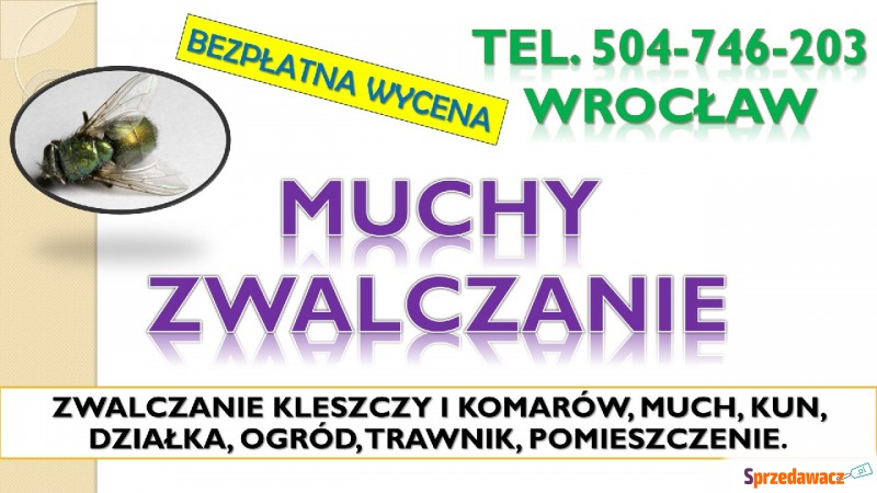 Zwalczanie much, Wrocław, tel. 504-746-203. D... - Pozostałe usługi - Wrocław