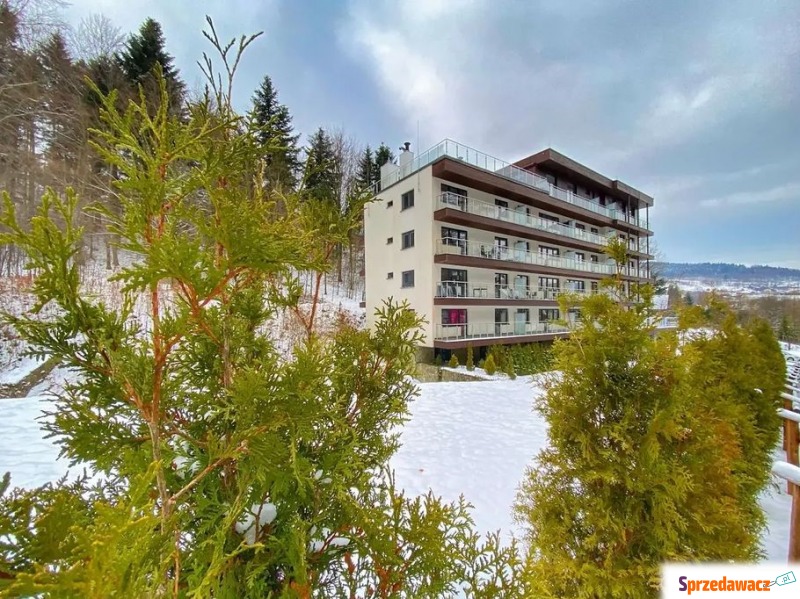 Kurort Kozubnik Apartament*33.