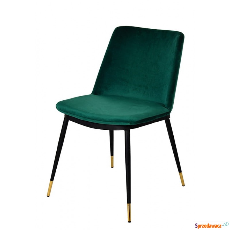 Krzesło Diego - zielone - Krzesła kuchenne - Czeladź