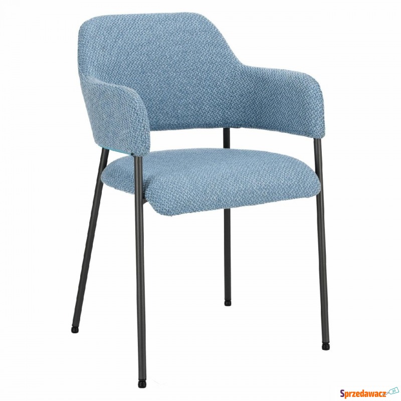 Krzesło Gato - niebieskie - Krzesła kuchenne - Łódź