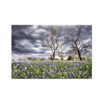 Obraz szklany 120x80 Pole kwiatów (260249)
