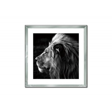 Obraz szklany 60x60 Głowa lwa