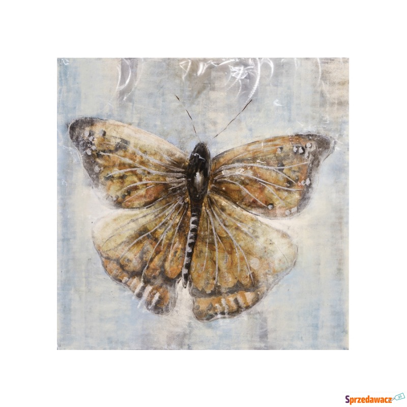 Obraz na płótnie 100x100cm Motyl - Obrazy - Wieluń