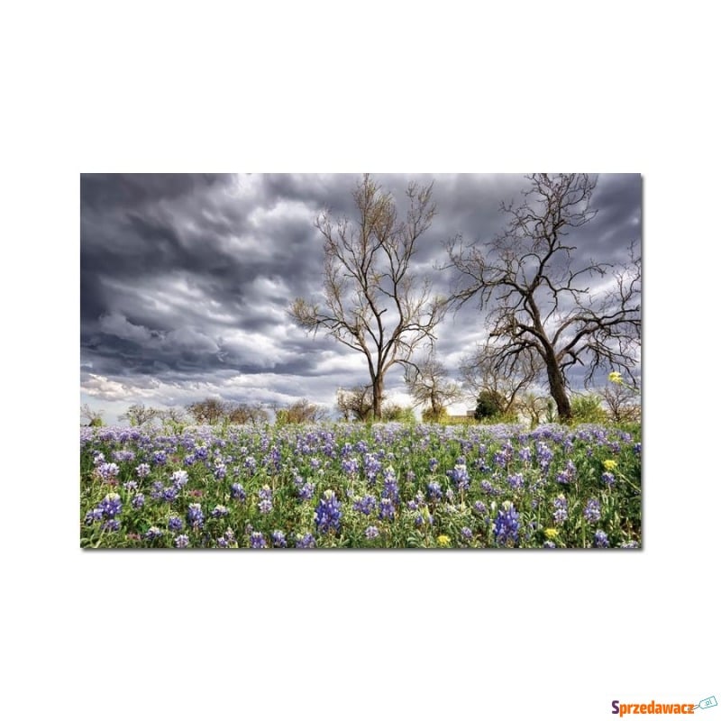 Obraz szklany 120x80 Pole kwiatów (260249) - Obrazy - Włocławek