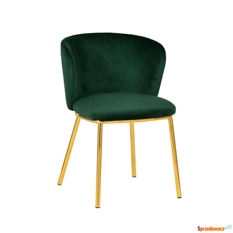 Krzesło Mantis - ciemny zielony - Krzesła kuchenne - Ruda Śląska
