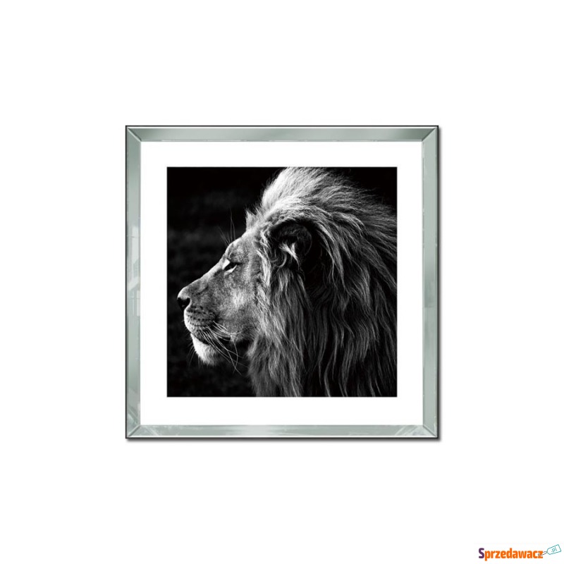 Obraz szklany 60x60 Głowa lwa - Obrazy - Bytom