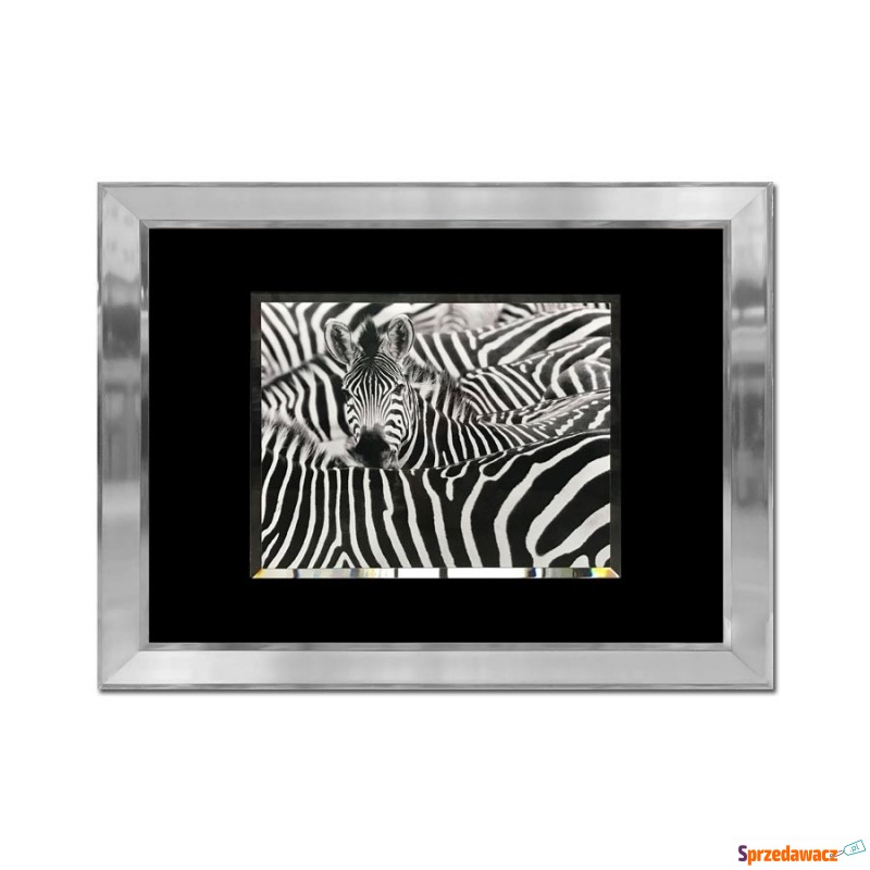 Obraz szklany 80x60 Zebry (260350) - Obrazy - Konin